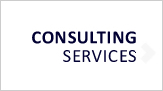 Consulting services